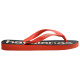 Havaianas Top Logomania 2